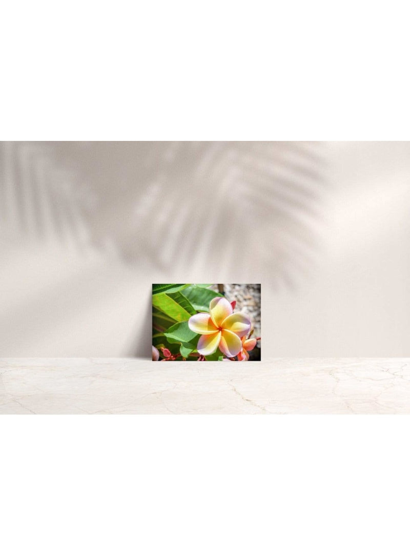 Butterfly in the Wind Home Cutie Note Card Valia Honolulu
